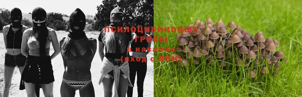 мескалин Верхний Тагил