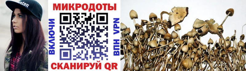 Псилоцибиновые грибы GOLDEN TEACHER  Купить закладки  Моршанск 